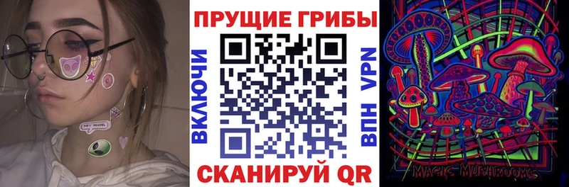 Галлюциногенные грибы Cubensis  купить закладку  Сухой Лог 